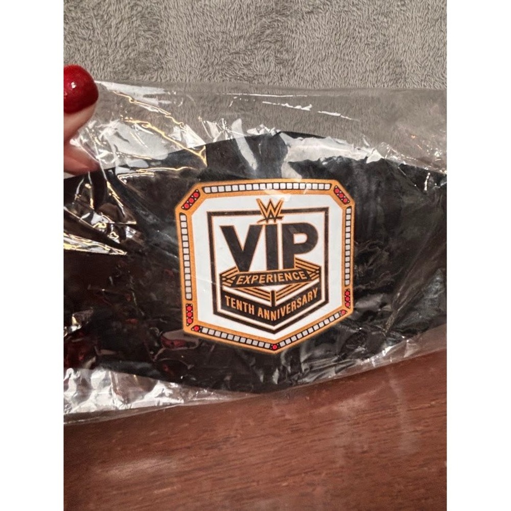 WWE VIP Experience 10th Anniversary 2023 Limited Edition Mini Replica Belt - Picture 4 of 12